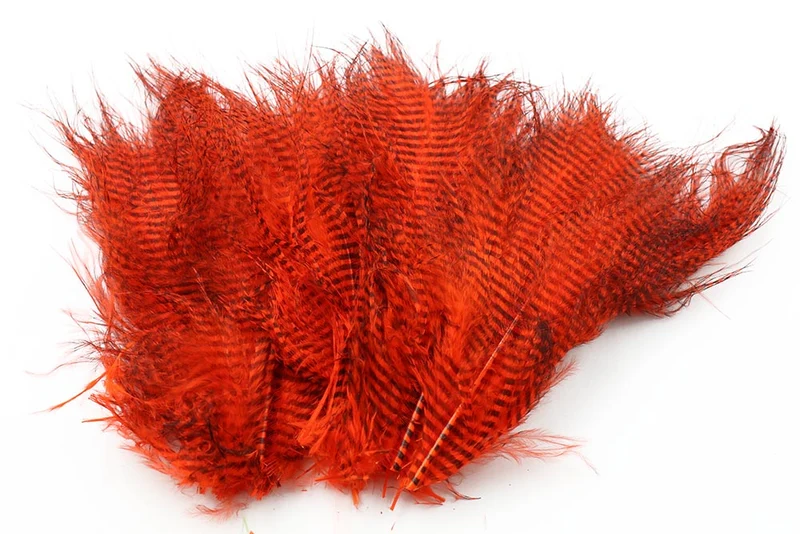 Feingebändertes Marabu - Scharfes Orange
