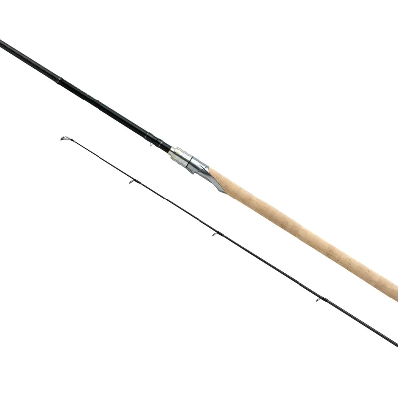Shimano Aspire Meerforelle