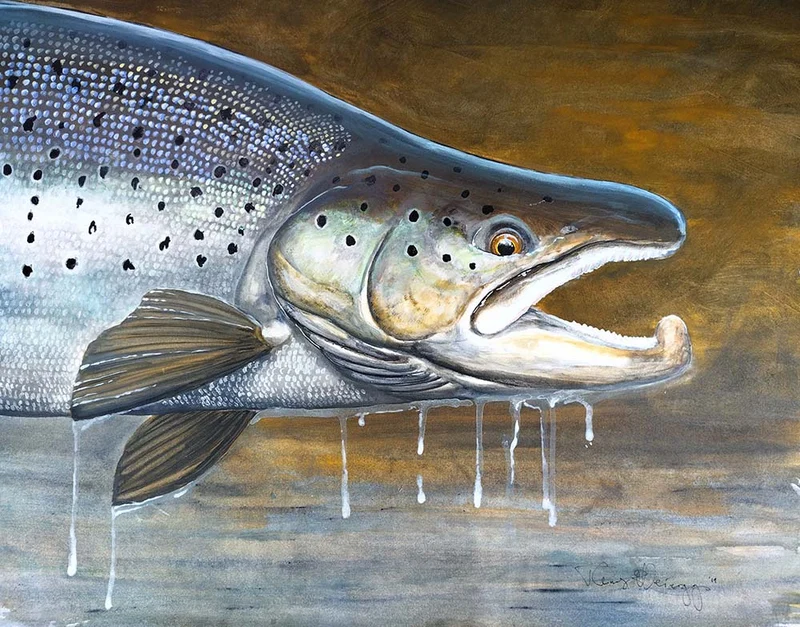 Thomas Weiergang Original 58 x 45 - Meerforellenbock