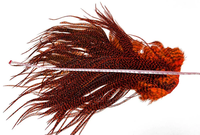 Whiting Euro-Sattel - Grizzly Orange