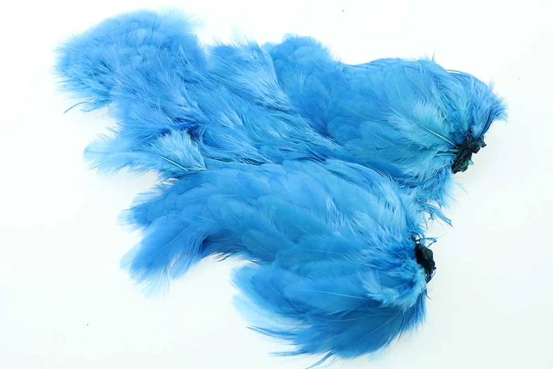 Ewing-Eisvogel, blauer Körper, Marabu-Patch