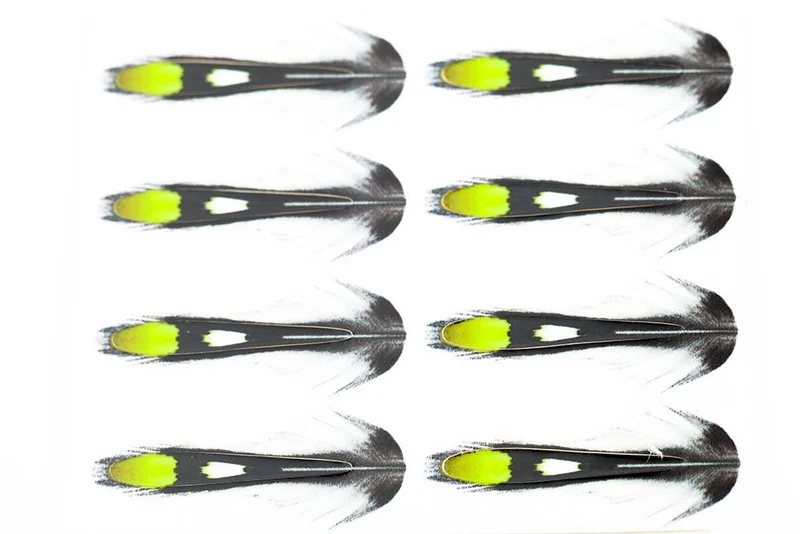 Junglecock Sub. - Chartreuse