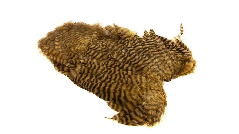 Whiting Rooster Softhackle W Chickabou SH/C Weiß gefärbt Goldoliv
