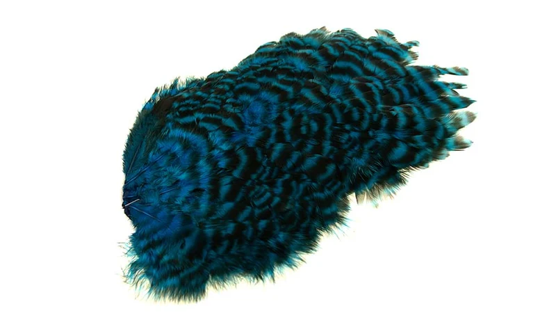 4 B's Hen Saddle Grizzly gefärbt in Eisvogelblau