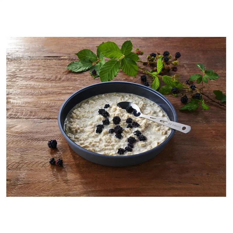 Protein Porridge