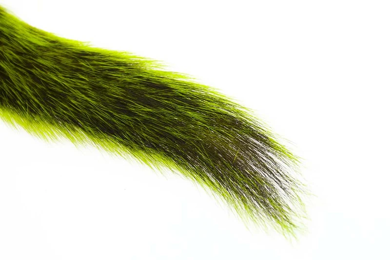Silberspitzen-Eichhörnchenschwanz – Fluo Chartreuse