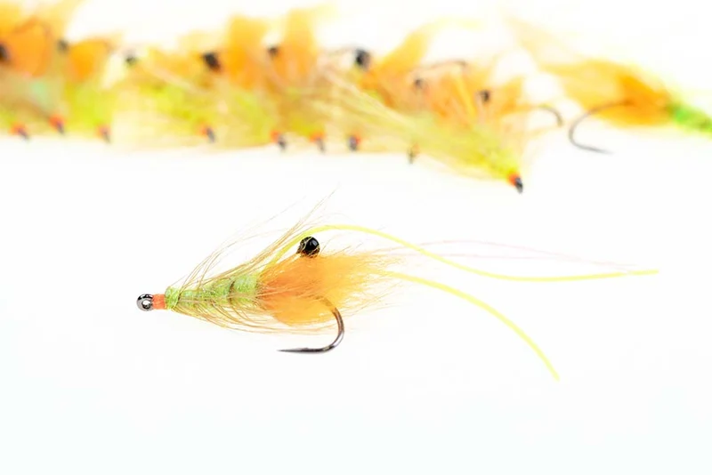 Apex-Fliegen - Fluo-Dieb