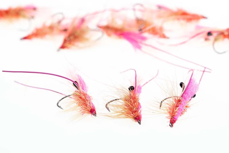 Apex Flies – Der Winterdieb