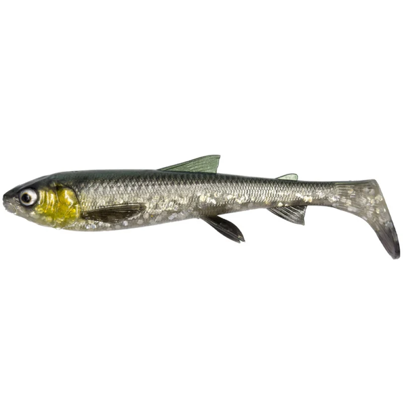 3D Whitefish Shad