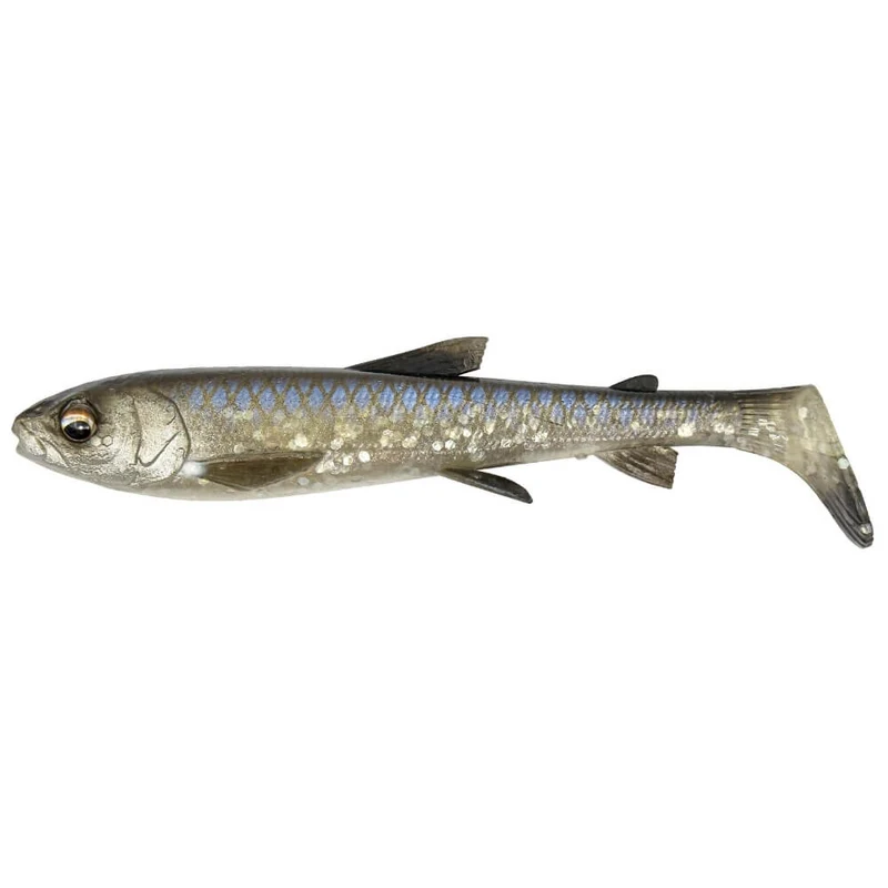 3D Whitefish Shad