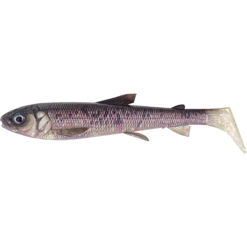 3D Whitefish Shad