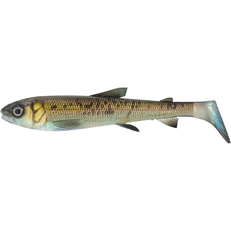 3D Whitefish Shad