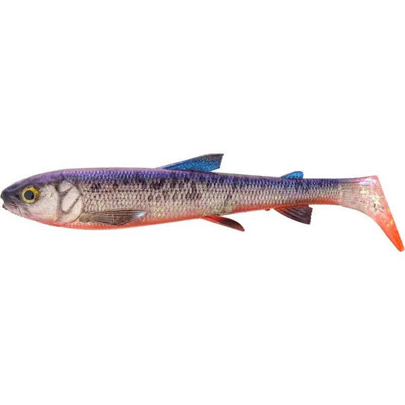 3D Whitefish Shad