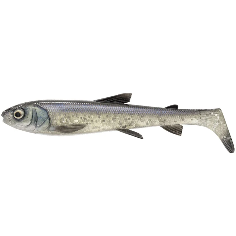 3D Whitefish Shad