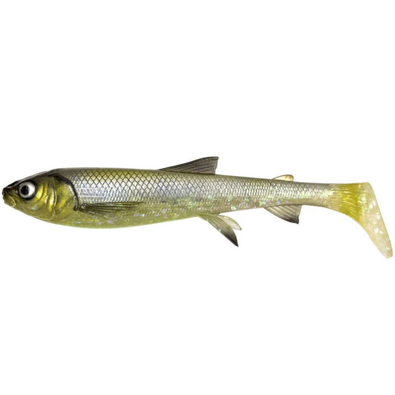 3D Whitefish Shad