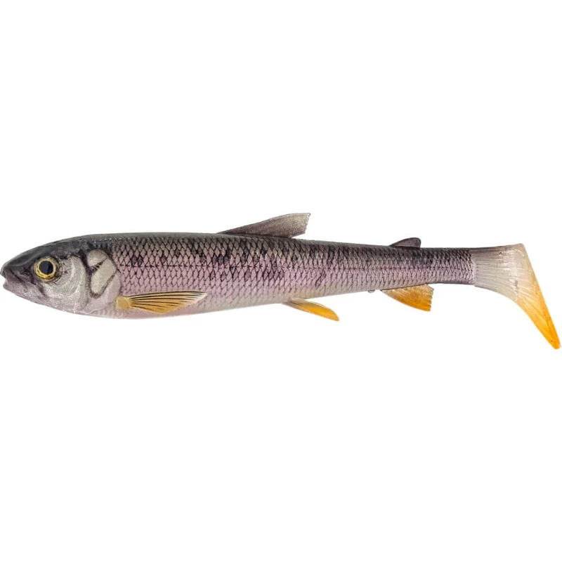 3D Whitefish Shad