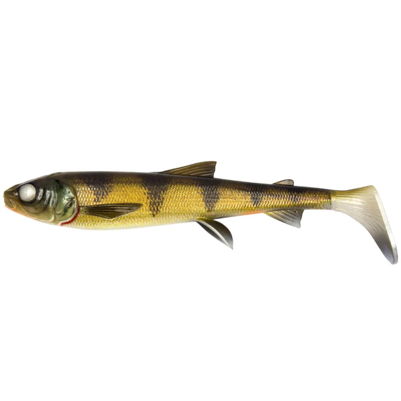 3D Whitefish Shad