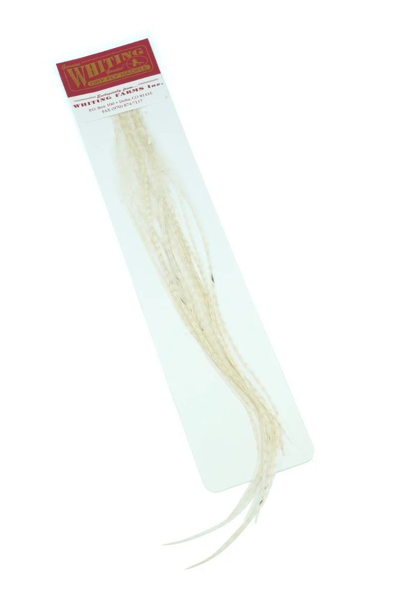 Whiting 100er-Packung – Weiß, perfekt für Flachflügelstrandläufer
