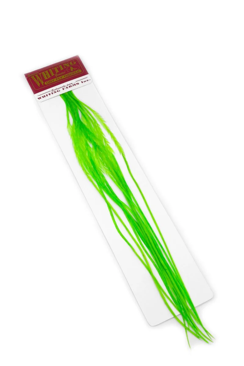 Whiting 100er-Packung – Fluoreszierendes Chartreuse, perfekt für Flachflügelstrandläufer