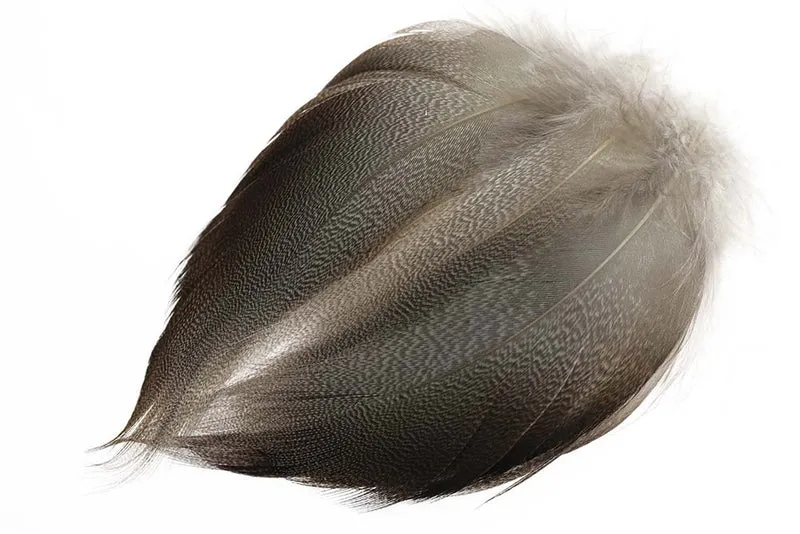 Mallard Bronze - Spey LARGE Select