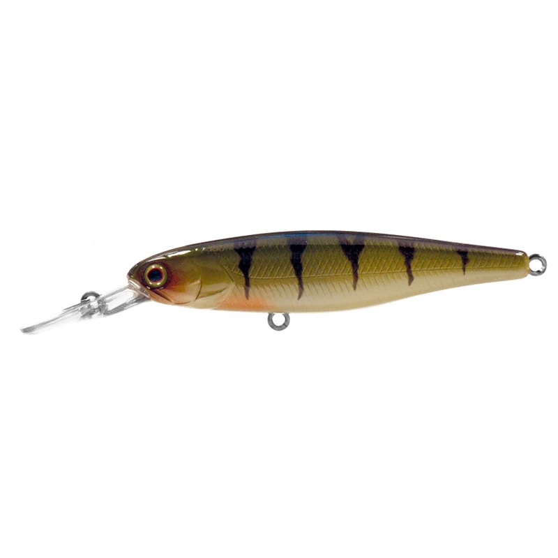 DD Squirrel SP