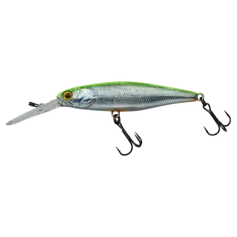 DD Squirrel SP
