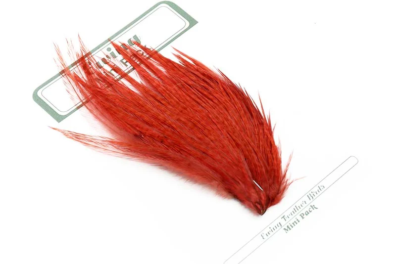 Ewing 14er & 16er Trockenfliegen-Minipack Ingwer