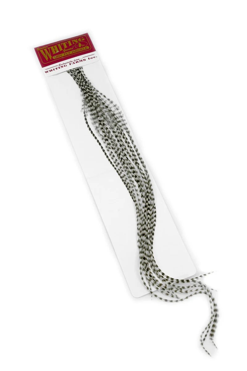 Whiting 100er-Packung - Grizzly