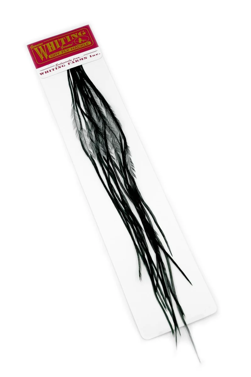Whiting 100er-Packung – Schwarz