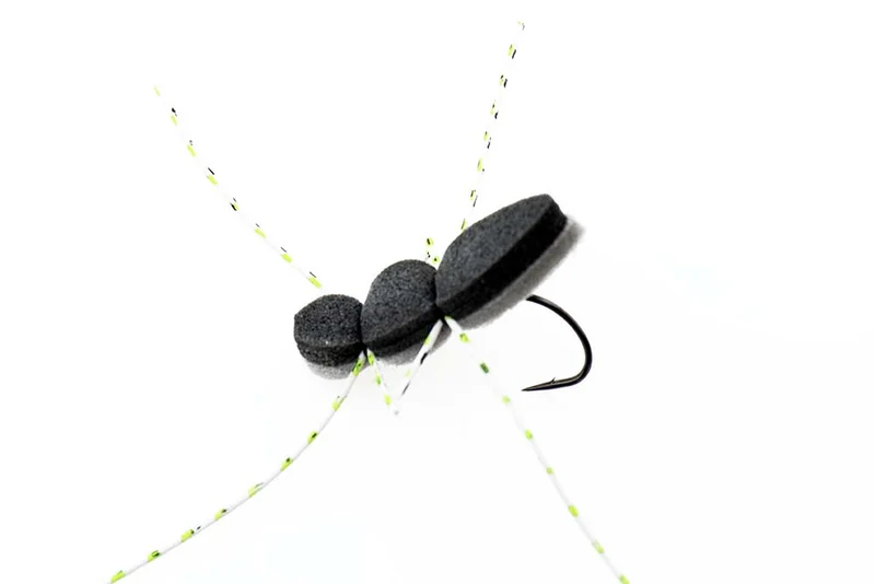 Schaumkäfer mit Auge - Grau