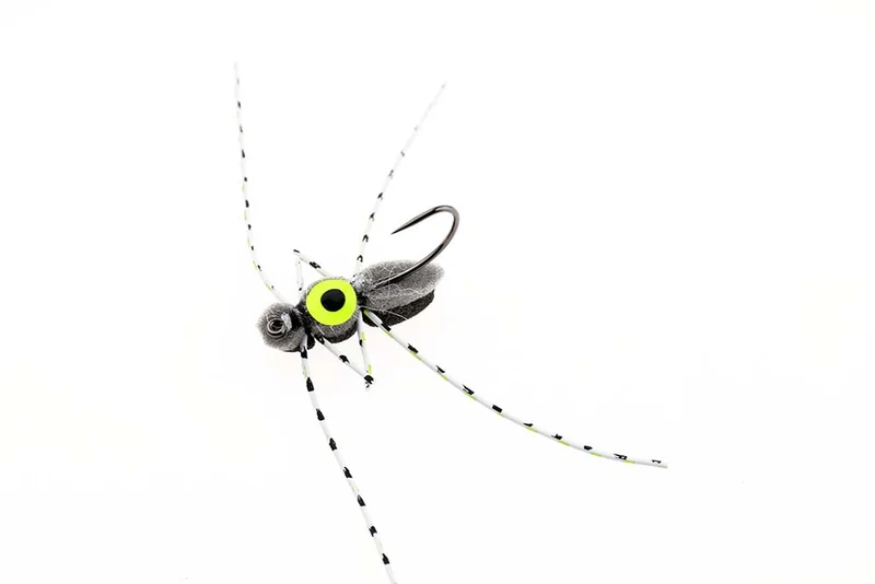 Schaumkäfer mit Auge - Grau