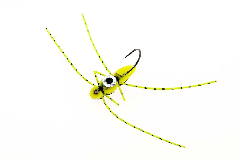 Schaumkäfer mit Auge - Gelb