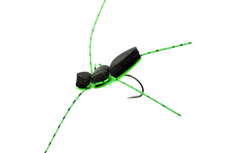 Schaumkäfer mit Auge - Chartreuse