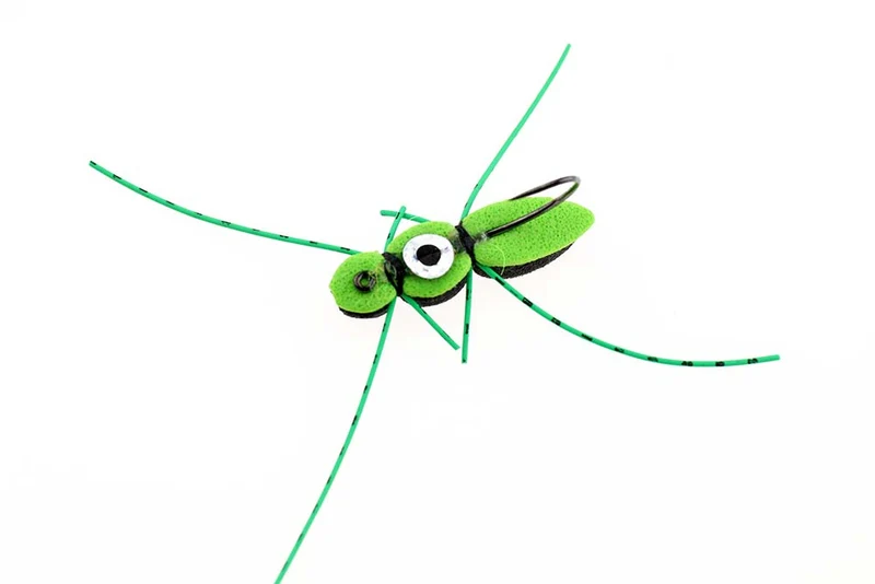 Schaumkäfer mit Auge - Chartreuse