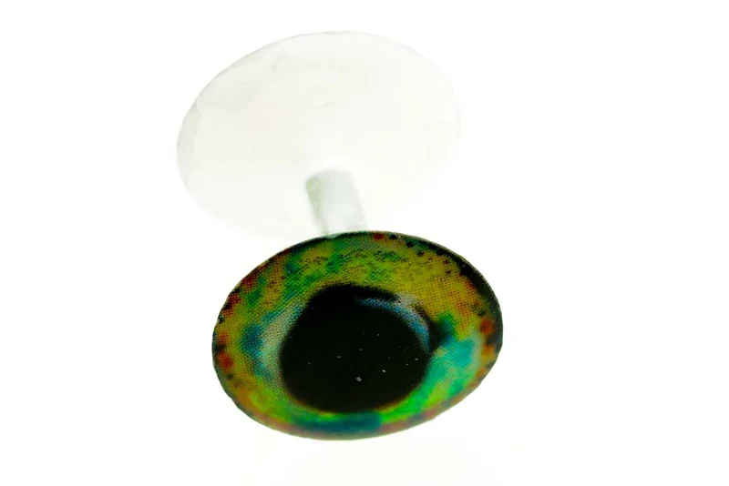 Leichte Hantel - Regenbogengeist