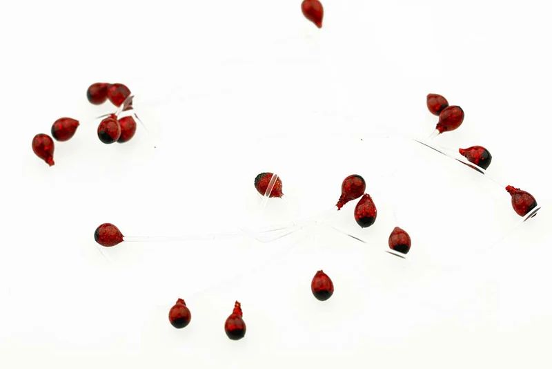Garnelen- und Krabbenaugen – Rot