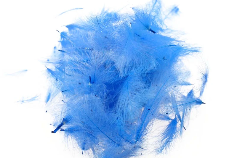 Schweizer CDC-Standard - Blue King 36