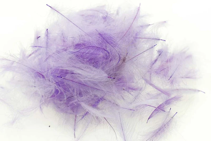 Schweizer CDC-Standard – Violett 32