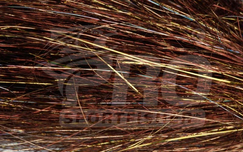 Angel Hair - Root Beer