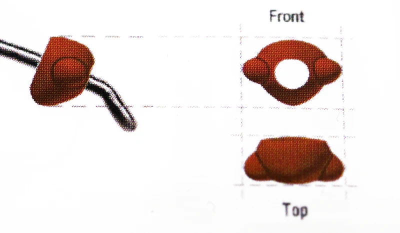 Nymphenkopf Evolution Köcherfliege - Braun