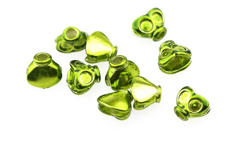 Flachköpfe, klein – Olive