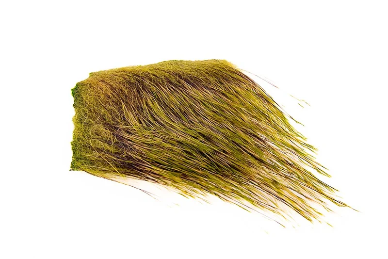 Wildschweinborsten (Boar borestle) - Chartreuse