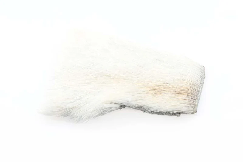 Kurz/Feines Rehhaar – Naturweiß