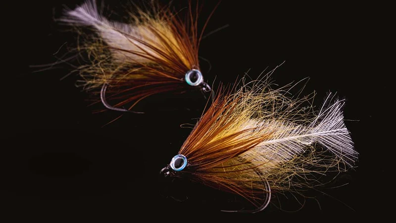 Stefans CDC-Grundel