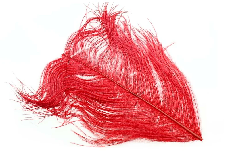 Straußenfedern - Rot