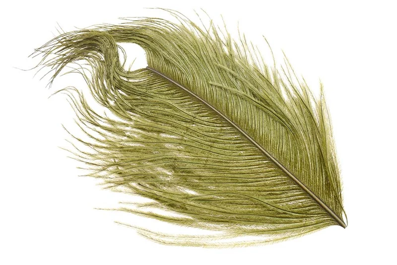 Straußengras - Olive