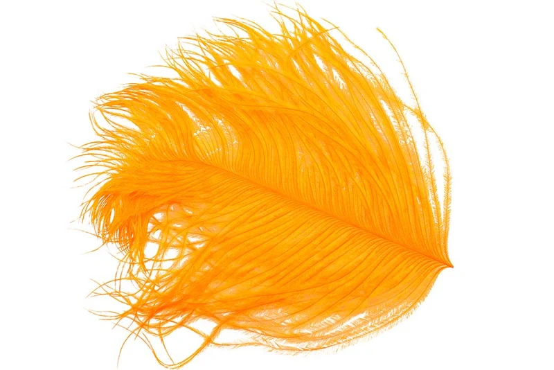 Straußengras - Orange