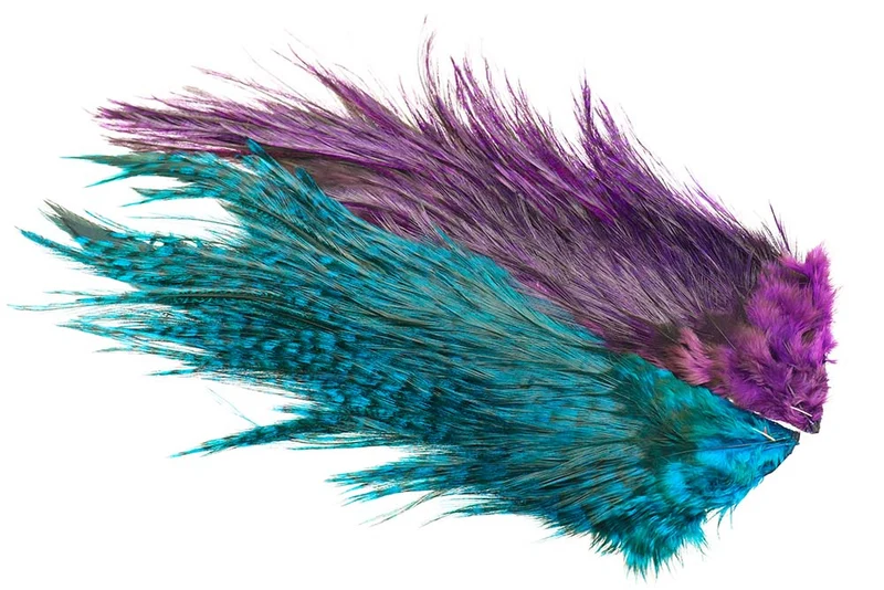 Whiting Rooster Coq de Leon Predator Pack - Blau/Lila