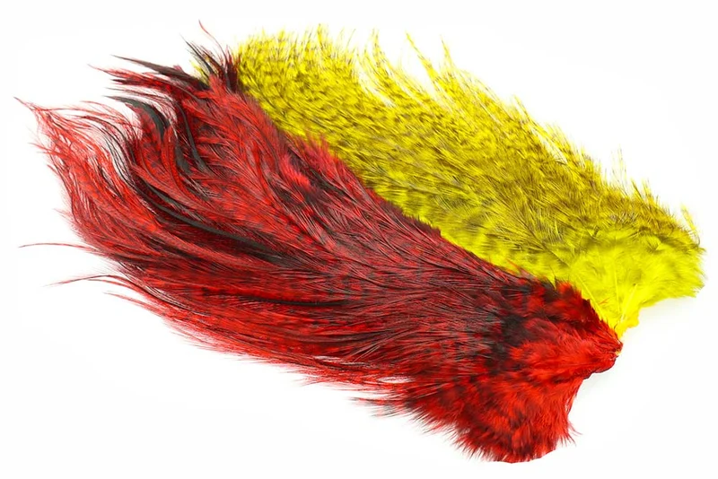 Whiting Rooster Coq de leon Predator Pack - Rot/Gelb