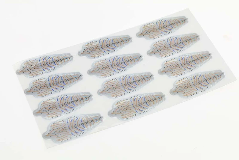Flyco Garnelenschalen – Grau